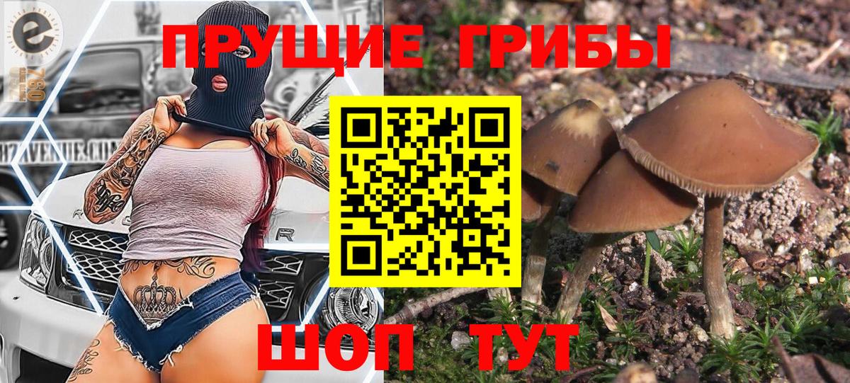 Псилоцибиновые грибы ЛСД  Галлюциногенные грибы ЛСД  Дивногорск  Вход с VPN 