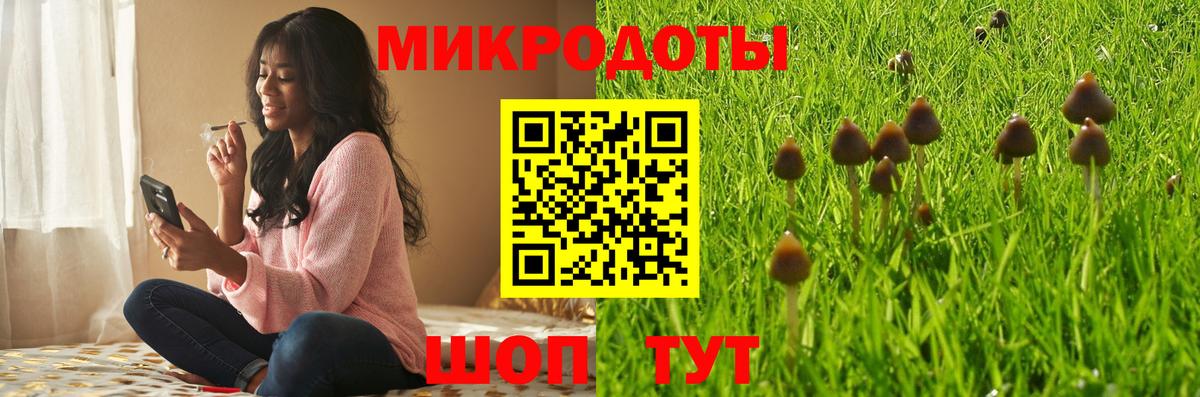 Псилоцибиновые грибы прущие грибы Дивногорск